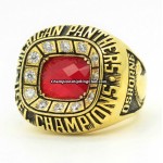 1983 Michigan Panthers Championship Ring/Pendant(Premium)
